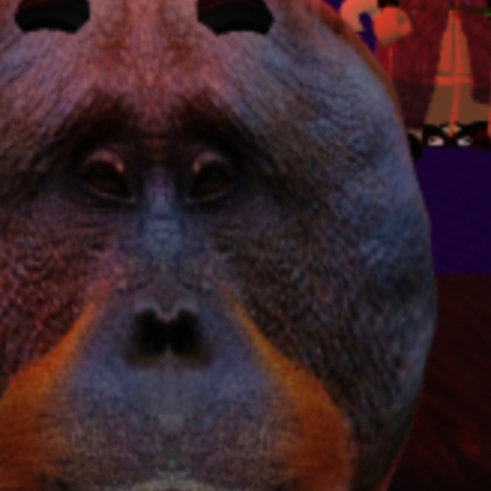 Meet your Posher, Audrey